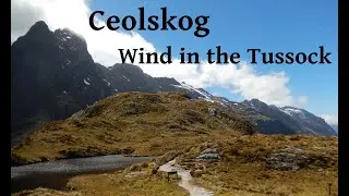 Ceolskog - Wind in the Tussock (Phil Garland Cover) New Zealand Folk Metal