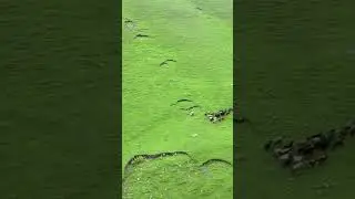 Chokil Banda Wazirastan Of Pakistan 🇵🇰 👍  