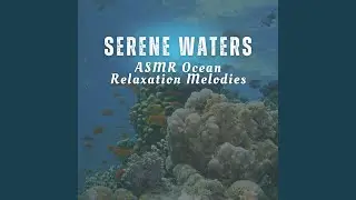 Open Ocean Ease