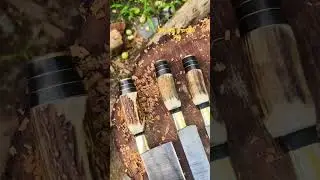 stag horn chef knife set