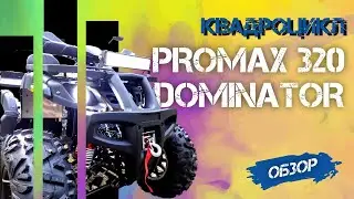 ПОЛНЫЙ ОБЗОР квадроцикла на кардане PROMAX 320 DOMINATOR от X-MOTORS