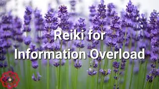 Reiki for Information Overload 💮