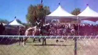 Jousting Challenge 4