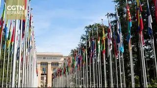 Experto brasile&ntilde;o destaca la importancia de la Iniciativa para la Gobernanza Global