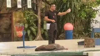 2025.01.24(가족여행 쿠알라룸푸르) 주네가라 에니멀쇼 #zoo negara #animal show 