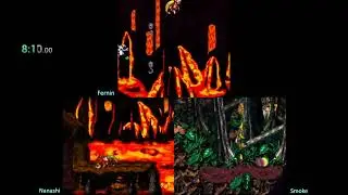 Donkey Kong Country 2 Race