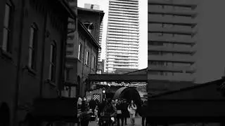 Sometimes the real shot only appears once you frame it. #whatiseevswhatitake #photography