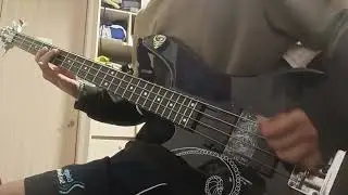 Sucio Plan - I.R.A. / Bass Cover