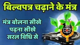 शिवलिंग पर बेलपत्र चढ़ाने के मंत्र shivling per belPatra chadhane ke Mantra #shivling #belpatra