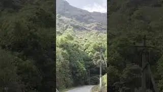 On the way to Mullyanagiri Peak point ☝️