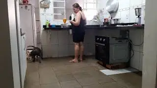 Isto é uma cachorrada!