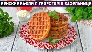 Delicate waffles with cottage cheese in a waffle iron - delicious and easy!