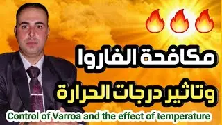 مكافحة الفاروا وتاثير درجات الحرارة 🔥♨️🔥 الاستاذ محمد الجراح