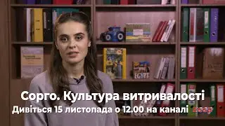 🔥 СОРГО &mdash; КУЛЬТУРА, ЩО НЕ БОЇТЬСЯ СПЕКИ!