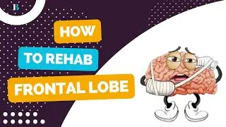 Reviving Frontal Lobe Function: Cutting-Edge Techniques for Rehabilitating  Frontal Lobe Function