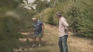 Truffière en production