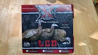 Avian-X LCD Turkey Decoy Lookout Hen - Unboxing and Review