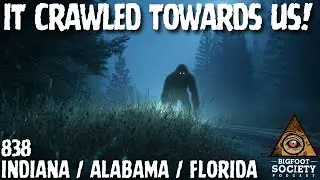 Spider-Crawling Sasquatch Tried to Ambush Us | Indiana | Bigfoot Society 838