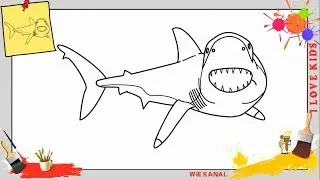 Hai zeichnen schritt f&uuml;r schritt f&uuml;r anf&auml;nger & kinder (Great white) - Zeichnen lernen
