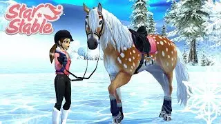 Куплю лошадь породы Фэнси-Дир! — Давайте играть в Star Stable