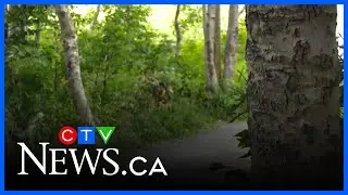 N.S. bans people from woods amid dry weather