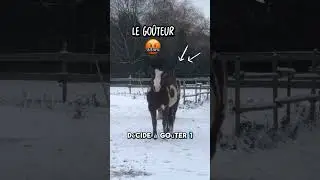 Devoir accompli mais quand m&ecirc;me 😅