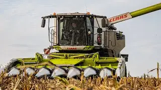 KUKURYDZA NA ZIARNO 2022 ✔ 20 TON Z HEKTARA? ✔ GOSPODARSTWO ROLNE SOBCZUK