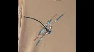 Cheers to Creativity Painting a Dragonfly on Fabric