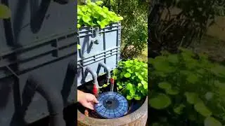 🤩Beautiful Solar Water Fountain💥 | #shorts #solar #waterfountain #gadgets