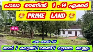 പാലാ TOWN 1.14 ഏക്കർ PRIME LAND 😍 ROYAL AREA | 983A #pala #kottayam #kerala #house #home #land