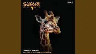 Feelings (DJ Entwan Remix)