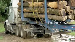 SWAMP LOGGERS NC / «Ввожу всех в курс дела».