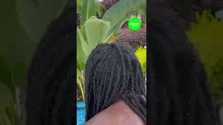 Funniest couples failing together 😭😂