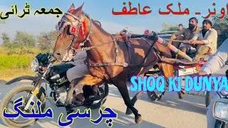 Tanga Race CHARSI MALANG HORSE RACE TRY OWNER MALIK ATIF | All Pakistan Tanga Race Try Pubbi Horse