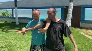 Chen Family Taijiquan application of 懶扎衣 - Lǎnzāyī part 2 with Master Jan Silberstorff