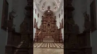 Bom Basilica Church in Goa #basilica #goa #church #old