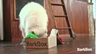 BarkBox Ad - #1