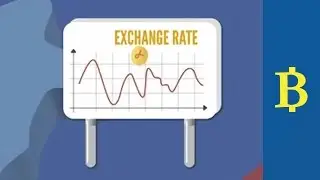 Exchange Rate - Real Economy: Crash Course