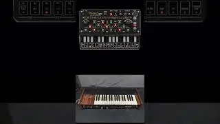 New Behringer Phara O mini my thoughts  #synthesizer