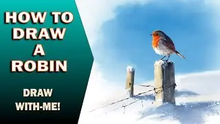 Draw a Robin Step by Step &ndash; Winter Bird Art Tutorial &ndash; Perfect for Holiday Cards #howtodraw