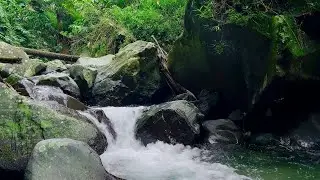 River Night Soundscape - Restful Mind & Body | sleep - relax - enjoy life - ASMR