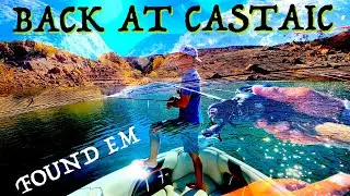 BACK TO CASTAIC LAKE - FINDING SOME SCHOOLIES -- BASS FISHING CASTAIC LAKE