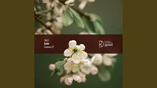 Machine (Original Mix)