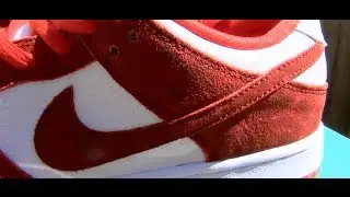 Nike SB 'Valentines' Dunk Low Premium  - Review + On Feet