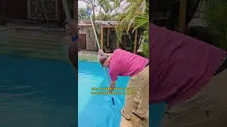 Curso de Piscineiro: Primeira escova&ccedil;&atilde;o da piscina 🧹 💦