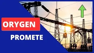 An&aacute;lisis Fundamental Orygen 2025 | BUY AND HOLD