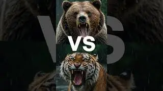 Battle of the Fierce Animals