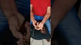 desmuniciando c seguran&ccedil;a G2C 9mm