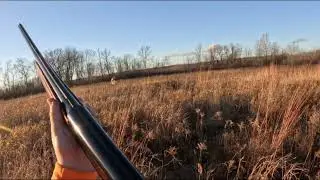 Good point! Bad shot(s)!  #hunting #gsp