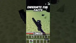 Minecraft Endermite Fun Facts You DIDN'T Know! #minecraft